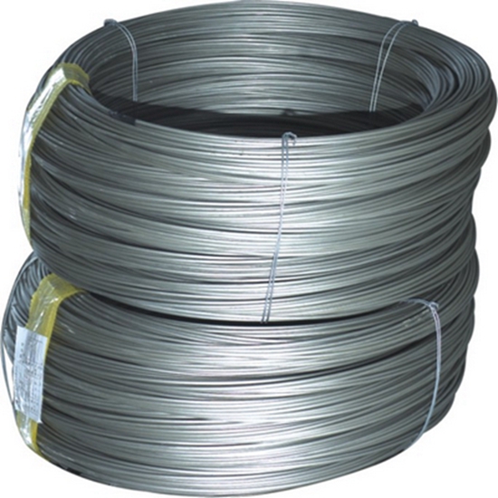 High Quality 304 Stainless Steel Wire in Coils