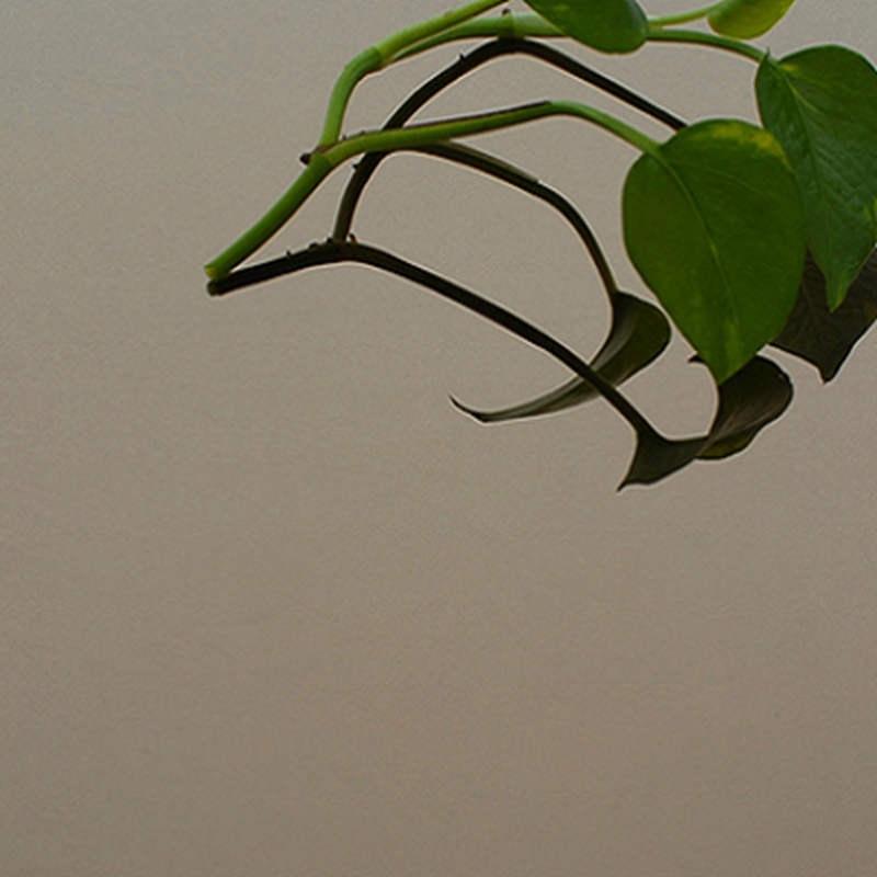 Gate Design Gold PVD 0.8MM Stainless Steel Sheet